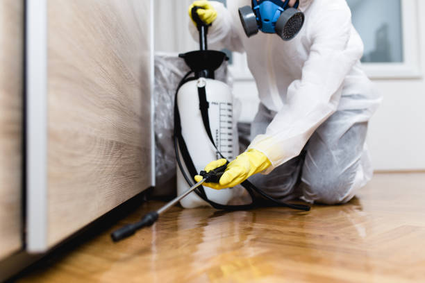 Best Affordable Pest Control Services  in , AR